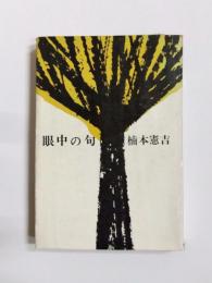 眼中の句　私の俳論・俳文集