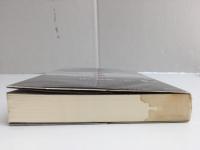 欲望の砂糖史  近代南島アルケオロジー