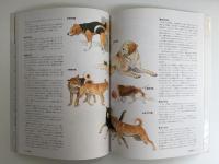 イラストでみる犬学 (KS農学専門書)