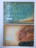 ぴぴとみみ(135号) ＋ちいさなしまのはなし(188号)〈月刊予約絵本 こどものとも〉【二冊セット】