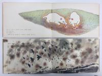 ぴぴとみみ(135号) ＋ちいさなしまのはなし(188号)〈月刊予約絵本 こどものとも〉【二冊セット】