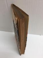 涙を憤りと共に  布施辰治の生涯