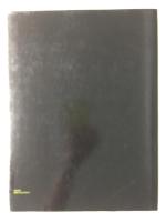 Standing in the Tempest: Painters of the Hungarian Avant-Garde, 1908-1930