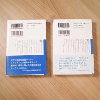経済大国興亡史 1500－1990〈岩波現代文庫〉