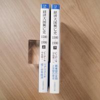 経済大国興亡史 1500－1990〈岩波現代文庫〉