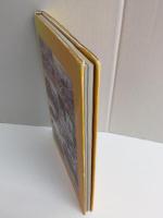 【琉球処分百年記念出版写真集】激動の記録 那覇百年のあゆみ -琉球処分から交通方法変更まで-