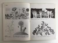 イラスト事典 Part 1 ジャンル・媒体編 (デザインハンドブックシリーズ)