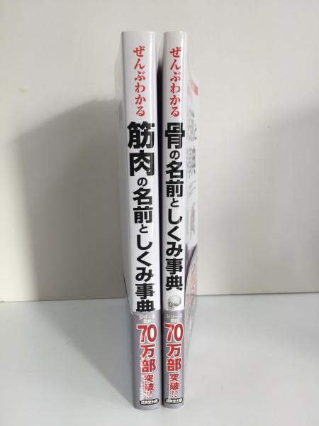 部位別にわかりやすくビジュアル解説〜 ぜんぶわかる筋肉の名前と