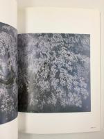 還暦記念  中島千波の世界展