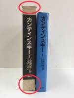 カンディンスキー 1 全油彩総目録 (1900-1915)