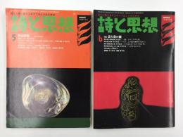 詩と思想 2003年5・6月号【2冊セット】