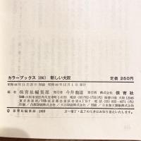 新しい大阪　カラーブックス