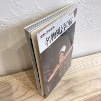 名物風呂の宿　カラーブックス