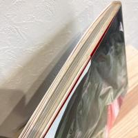 華麗な革命 : ロココと新古典の衣裳展