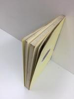 ハンドメイド・ハウス  自分たちで家を建てるために (Country life text books Vol.1)