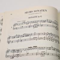 HAYDON Sämtliche Klaviersonaten BANDⅡ（ハイドン　ピアノソナタ全集　第２巻）