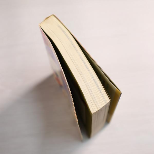 少女まんが入門―初歩からプロになるまで(鈴木光明) / 古本、中古本、古