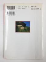 大和路石仏散歩 (孔雀ブックス) 