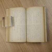 道化者の死（H・P・B 163）