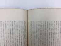 反世界の魔 -情念の中の政治 