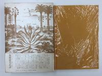 高丘親王航海記