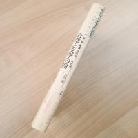 音楽と文学の間　ドッペルゲンガーの鏡像