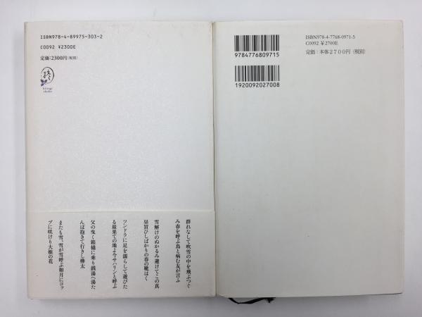 なしよまま 仲宗角歌集 (コスモス叢書第1030篇)＋雪が雪呼ぶ