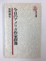 今日のアメリカ作家群像 (研究社選書 2)