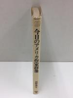 今日のアメリカ作家群像 (研究社選書 2)