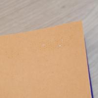 書きなおすナボコフ、読みなおすナボコフ