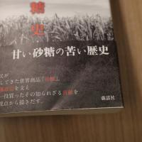欲望の砂糖史: 近代南島アルケオロジー