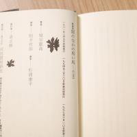 闇のなかの黒い馬 新装版: 夢についての九つの短篇