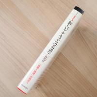 新しいアナキズムの系譜学 (シリーズ・道徳の系譜) 