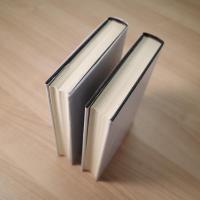折口信夫全集 ノート編 第14、15巻（源氏物語1、２）