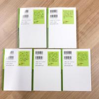 ローラ物語 全５冊〈岩波少年文庫〉
