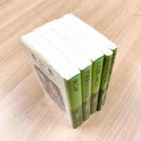 ローラ物語 全５冊〈岩波少年文庫〉