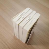 石井桃子コレクションⅠ〜Ⅳ（幻の朱い実/新編子どもの図書館/児童文学の旅） 岩波現代文庫
