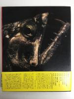もっと広く!  南北両アメリカ大陸縦断記・南米篇 