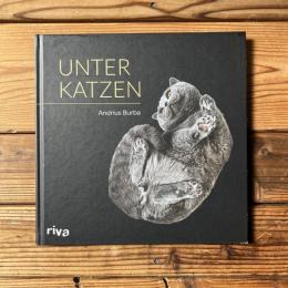 Unter Katzen