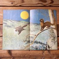 キンダーブック　第十五集第九編
