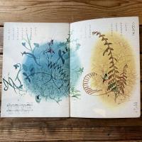 チャイルドブック 第27巻 第9号
