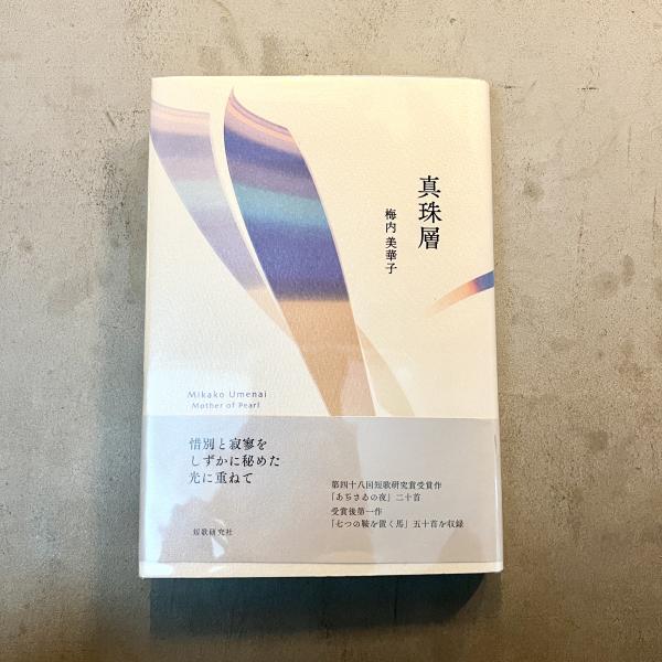 Amazon.co.jp: 見ることの力: 二十世紀絵画の周縁に : 中林 和雄