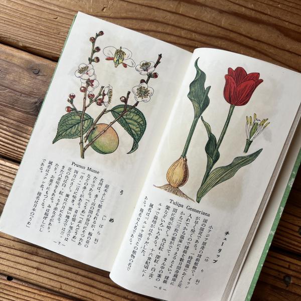 原色少年植物図鑑(牧野富太郎) / 古本、中古本、古書籍の通販は