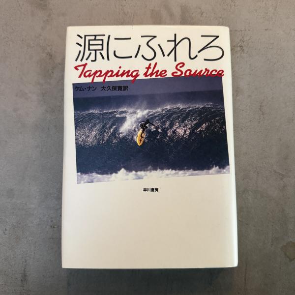源にふれろ ＜ハヤカワ・ミステリ文庫＞(ケム・ナン 著 ; 大久保寛 訳  