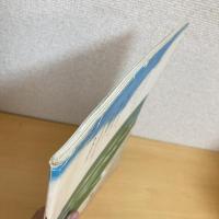 月刊いちごえほん 1977年7月号