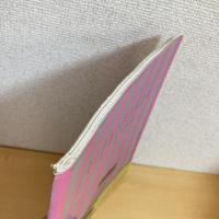 月刊いちごえほん 1981年2月号