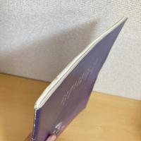 月刊いちごえほん 1981年11月号