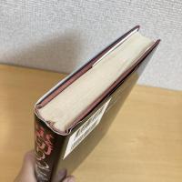 裏切りのダビデ