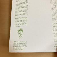 花笑 HANAEMI 季刊1973年冬2