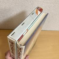 ぽっぺん先生と笑うカモメ